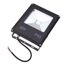 Giá bán AC85-265V 30W IP65 Waterproof Efficient LED Flood Light Plant Grow Light (Intl)