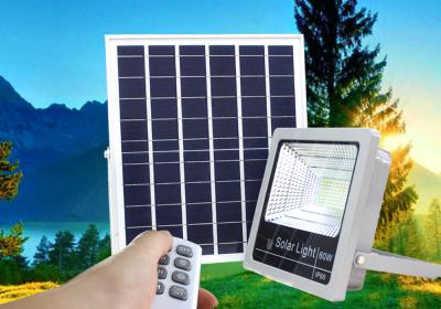 Ánh Sáng Xanh: Đèn Năng Lượng Mặt Trời Thắp Sáng Cuộc Sống Hiện Đại