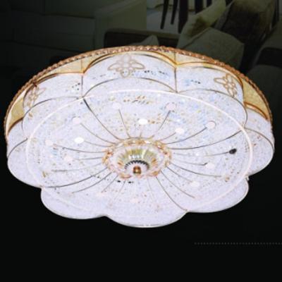 Đèn Áp Trần Led Tròn-HL8811