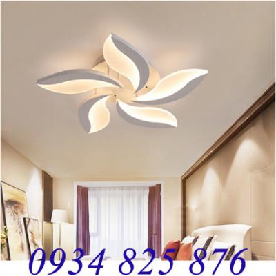 Đèn Áp Trần Trang Trí Hiện Đại-LT929-5