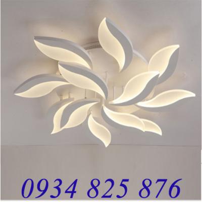 Đèn Áp Trần Trang Trí Hiện Đại-LT930-12