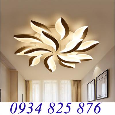 Đèn Áp Trần Trang Trí Hiện Đại-LT930-15