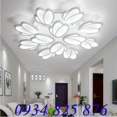 Đèn Áp Trần Trang Trí Hiện Đại-TL2820-12