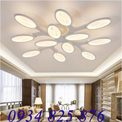 Đèn Áp Trần Trang Trí Hiện Đại-TL9821-12