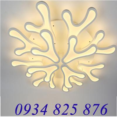 Đèn Áp Trần Trang Trí Hiện Đại-TL9920-12