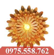 Đèn Gỗ Nghệ Thuật D909