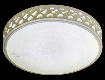 Đèn Led Áp TrầnTròn-TL7002
