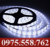 Đèn LED Dán 5M Trắng