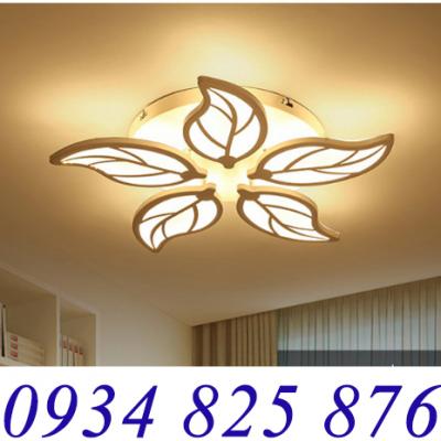 Đèn Ốp Trần Chiếc Lá Hiện Đại-LT953-5