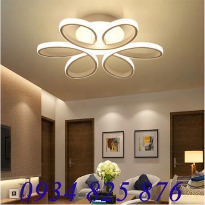 Đèn Ốp Trần Hiện Đại-LT943