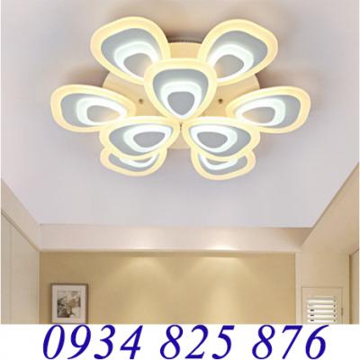 Đèn Ốp Trần Hiện Đại-LT970-9