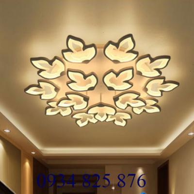 Đèn Ốp Trần Hiện Đại-OT054-15