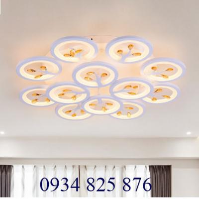 Đèn Ốp Trần Hiện Đại-OT083-12