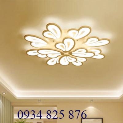 Đèn Ốp Trần Hiện Đại-OT8063-12