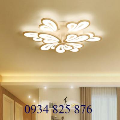 Đèn Ốp Trần Hiện Đại-OT8063-9