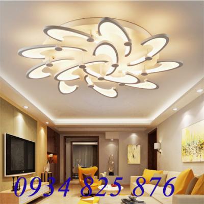 Đèn Ốp Trần Hoa Hiện Đại -LT903-12