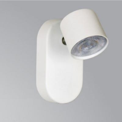 Đèn Soi Tranh Led-DL2111