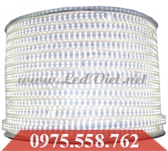 LED Dây 2750 Đôi 100M Trắng