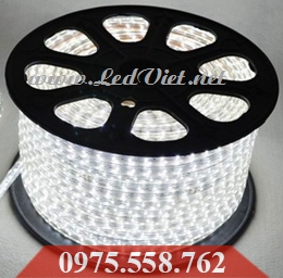 LED Dây 5050 Trắng Cao Cấp