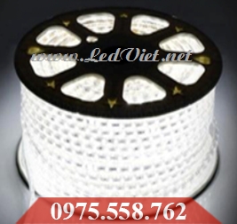 LED Dây 5050 Trắng Giá Rẻ