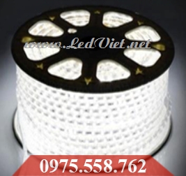 LED Dây 5050 Trắng Giá Rẻ