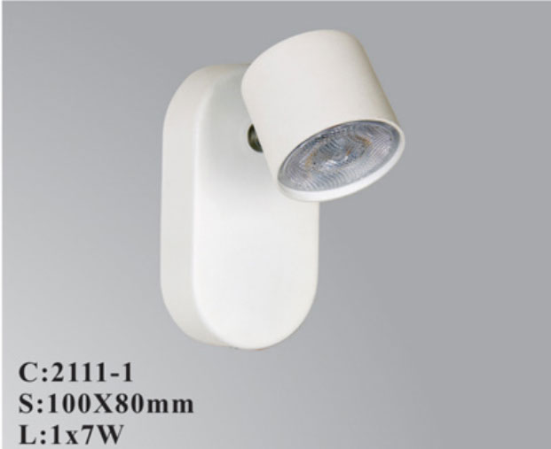 Đèn Soi Tranh Led-DL2111
